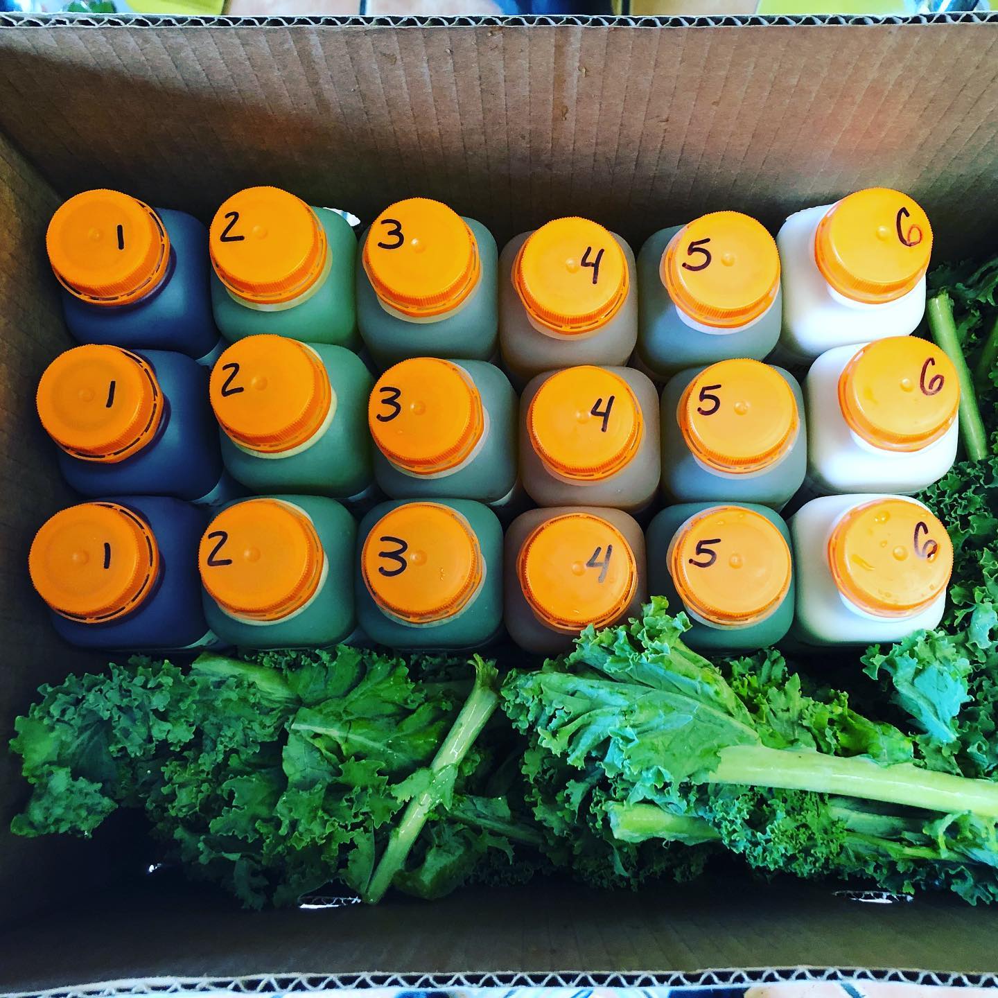 Cleanse Yo’self Juice Bar Orlando